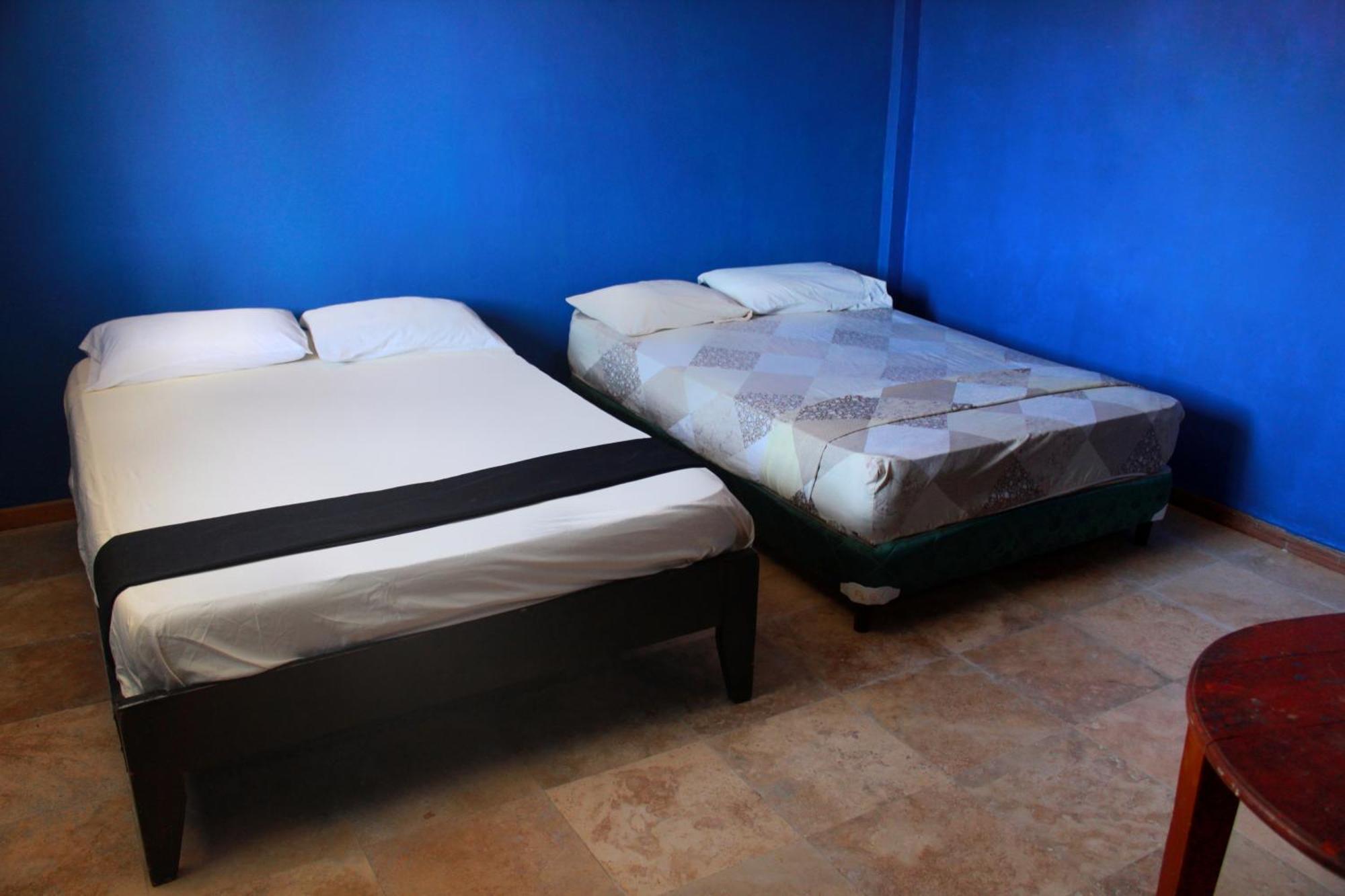 Twin Fin Hostels Bocas del Toro Exterior foto
